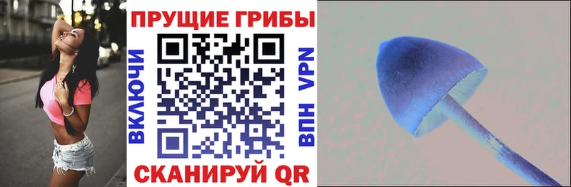 Псилоцибиновые грибы Magic Shrooms Бердск