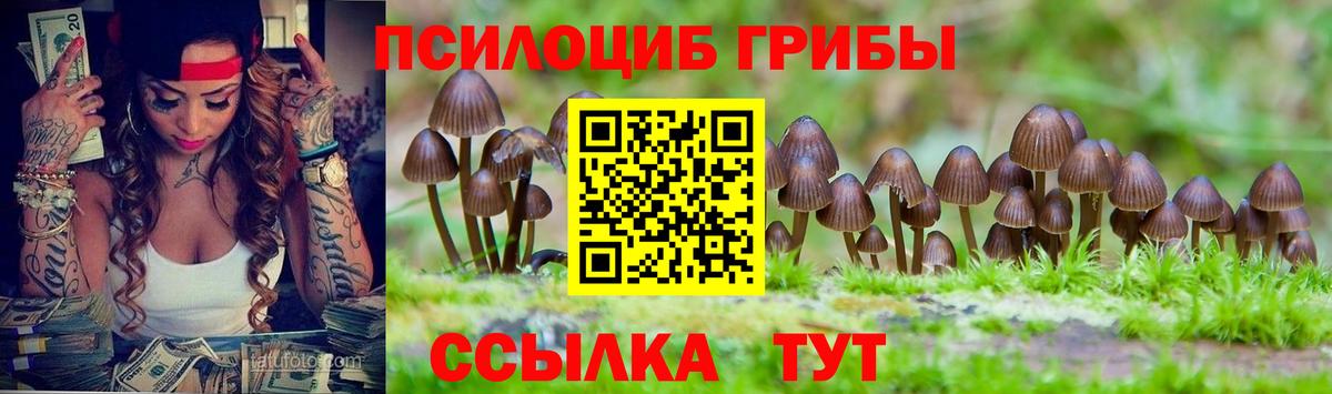 Псилоцибиновые грибы Magic Shrooms  Псилоцибиновые грибы Psilocybe  Бердск  Вход с VPN 