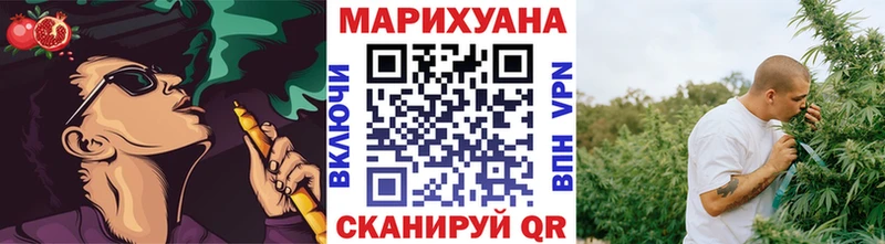 Бошки марихуана Amnesia где найти наркотики Бердск